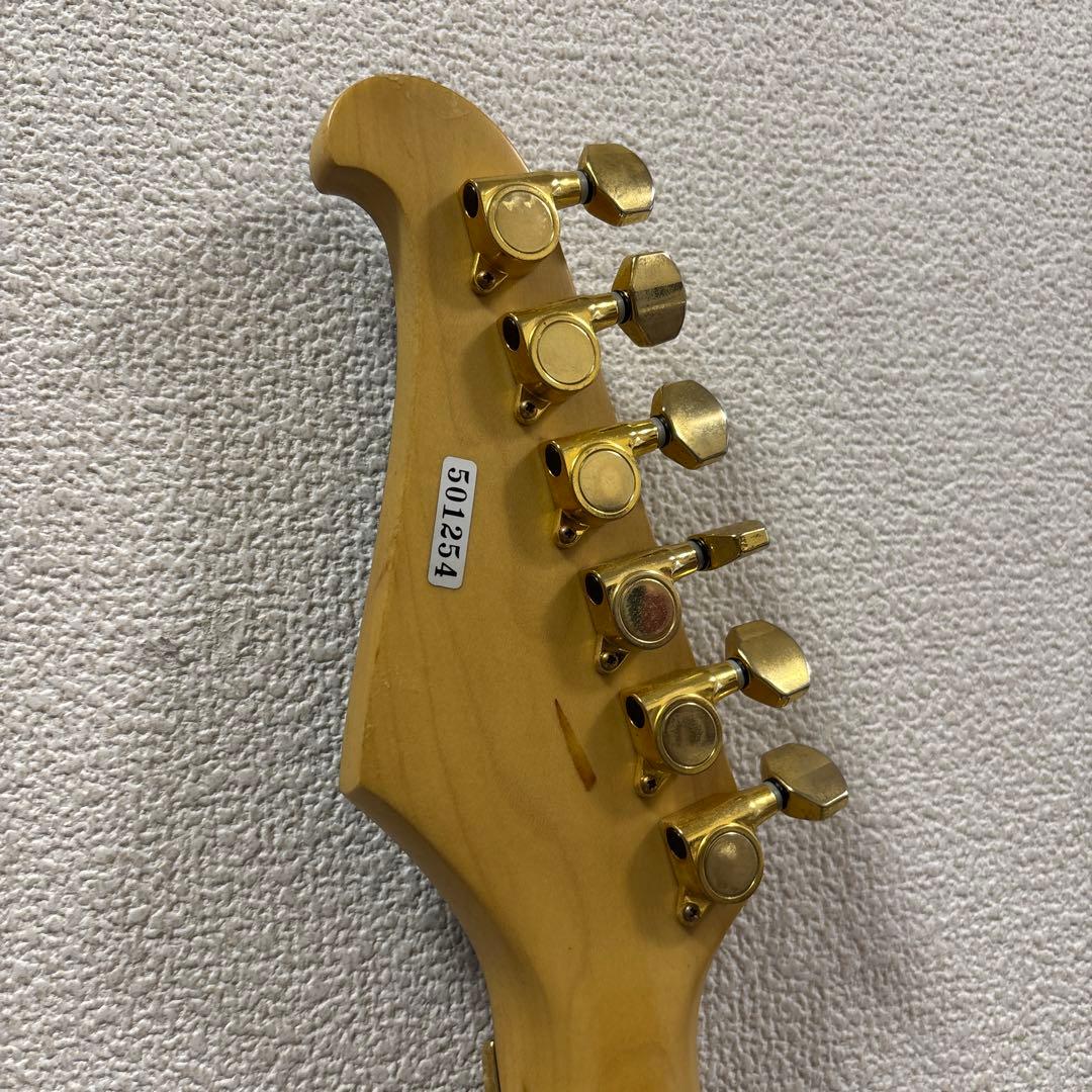 Chatting Bird By CAPARISON エレキギター