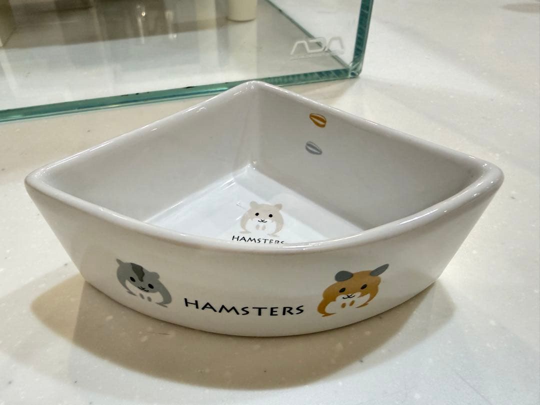 ハムスターケージセット　小動物　水槽　おしゃれ