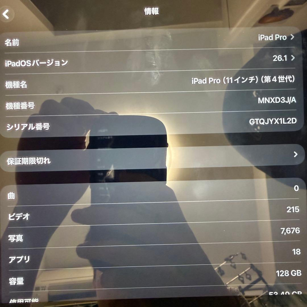 iPad Pro 11インチ 128GB シルバー 箱付き