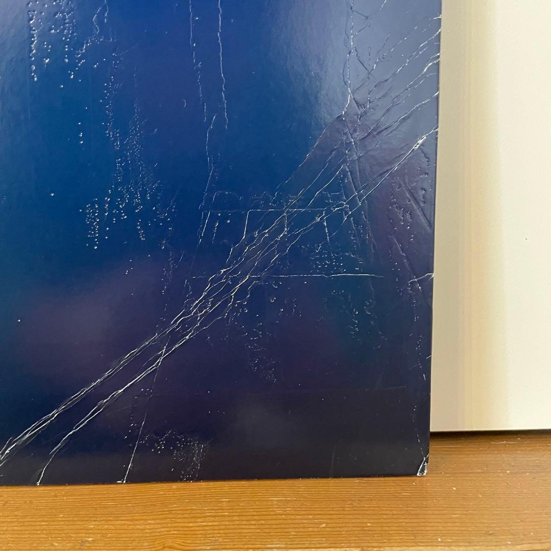 おまけ付きSTILLING STILL DREAMING 2LP