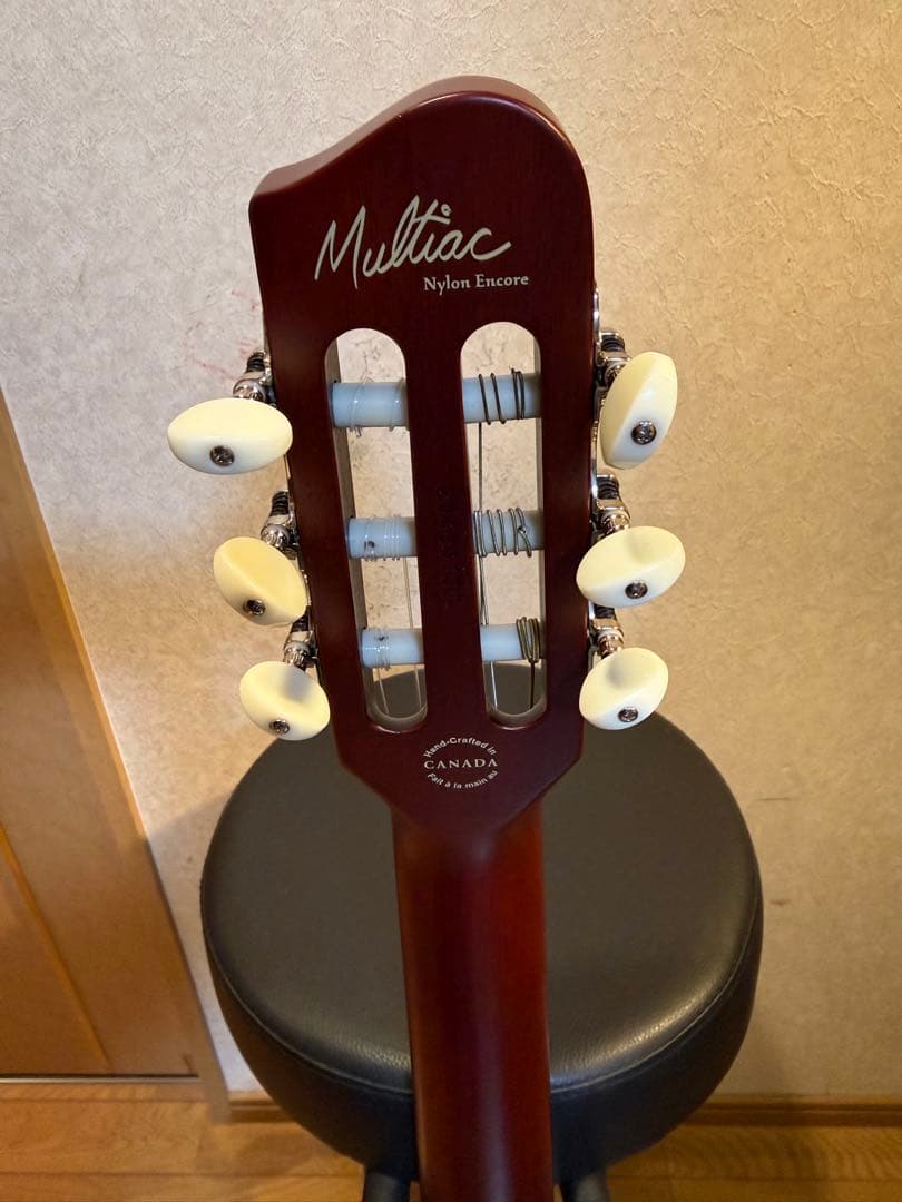 ギター Godin Multiac Nylon Encore Natural