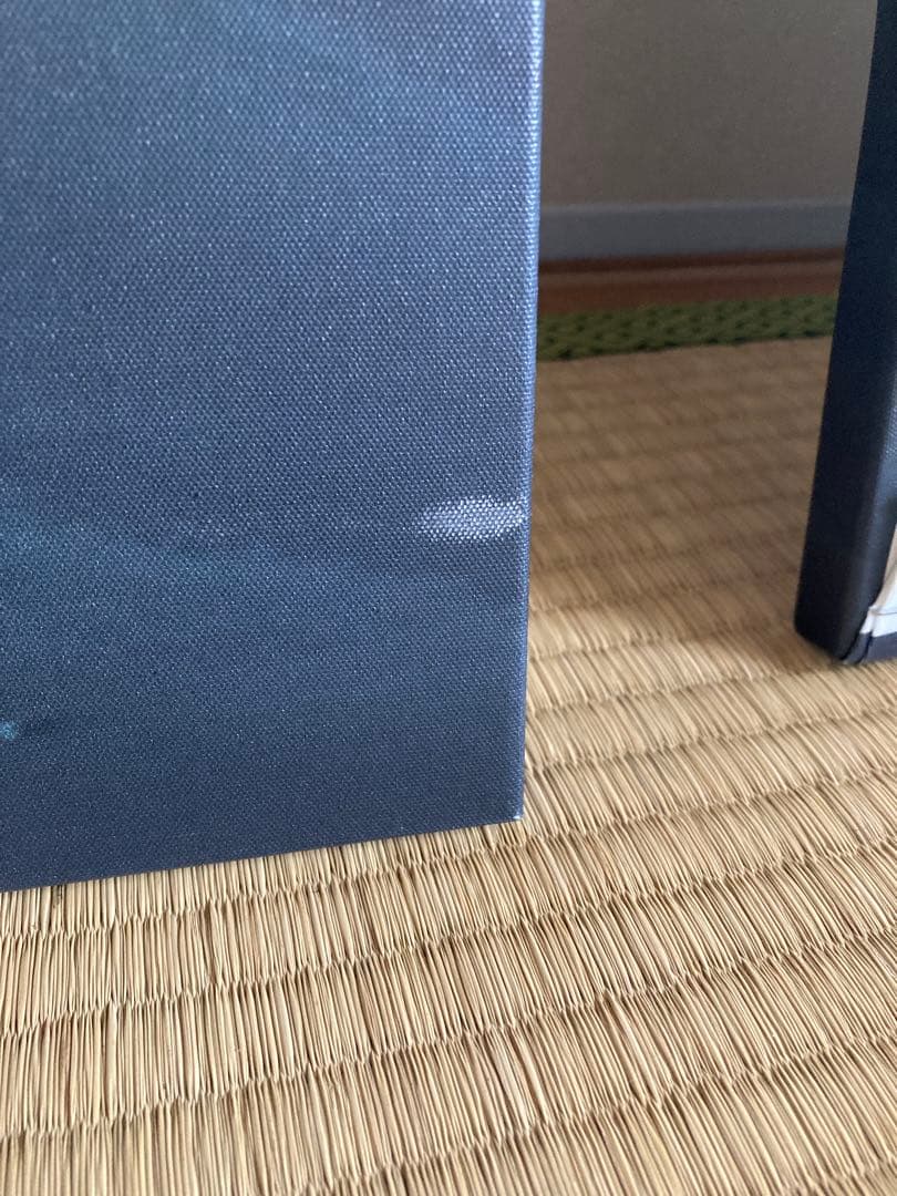 （廃盤）IKEA アートパネル PJÄTTERYD 3点セット 飛び立つ鳥の絵