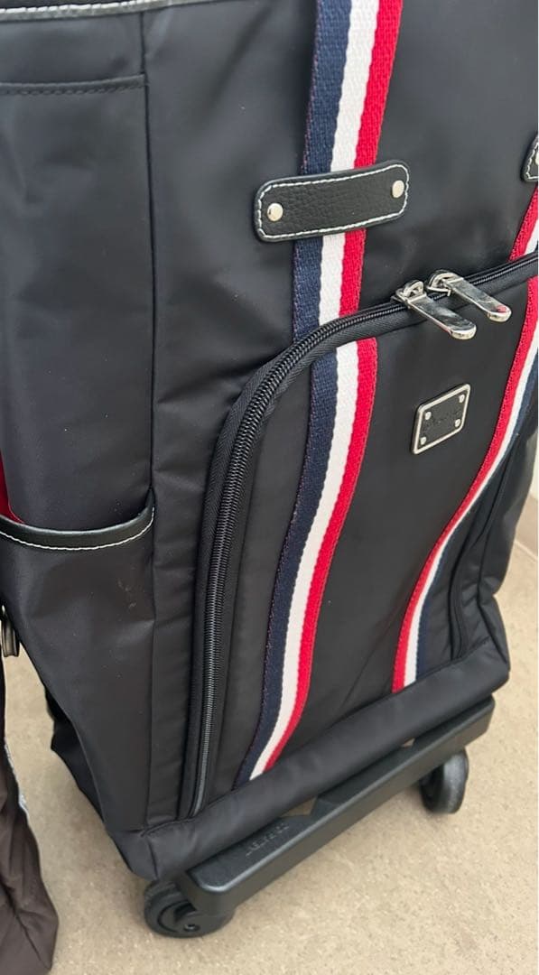 スワニーキャリーバッグLサイズ