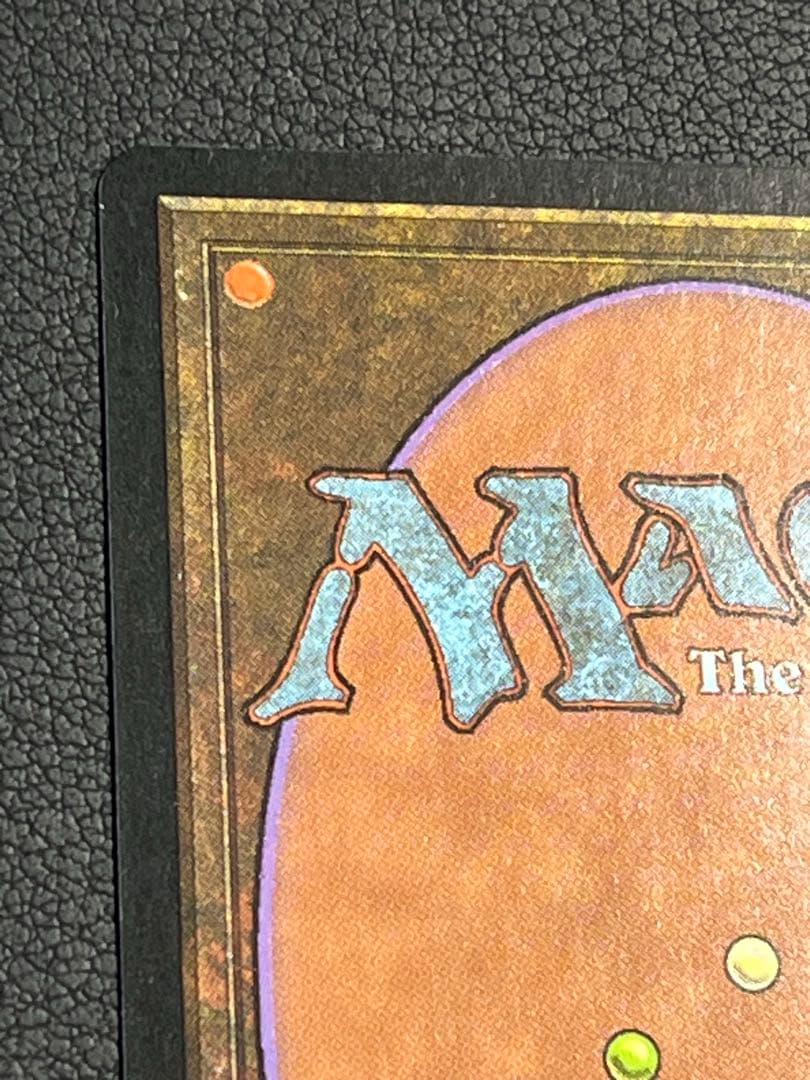 MTG 大地の知識　日本語　テンペスト