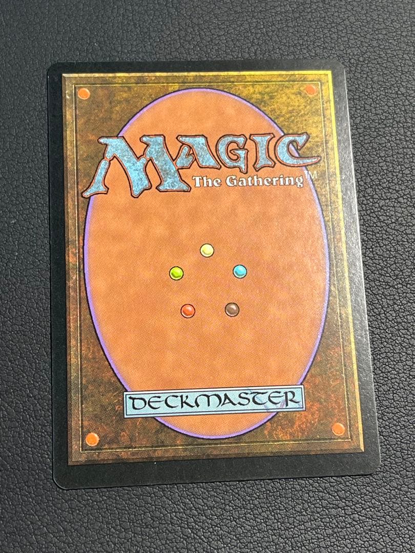 MTG 大地の知識　日本語　テンペスト