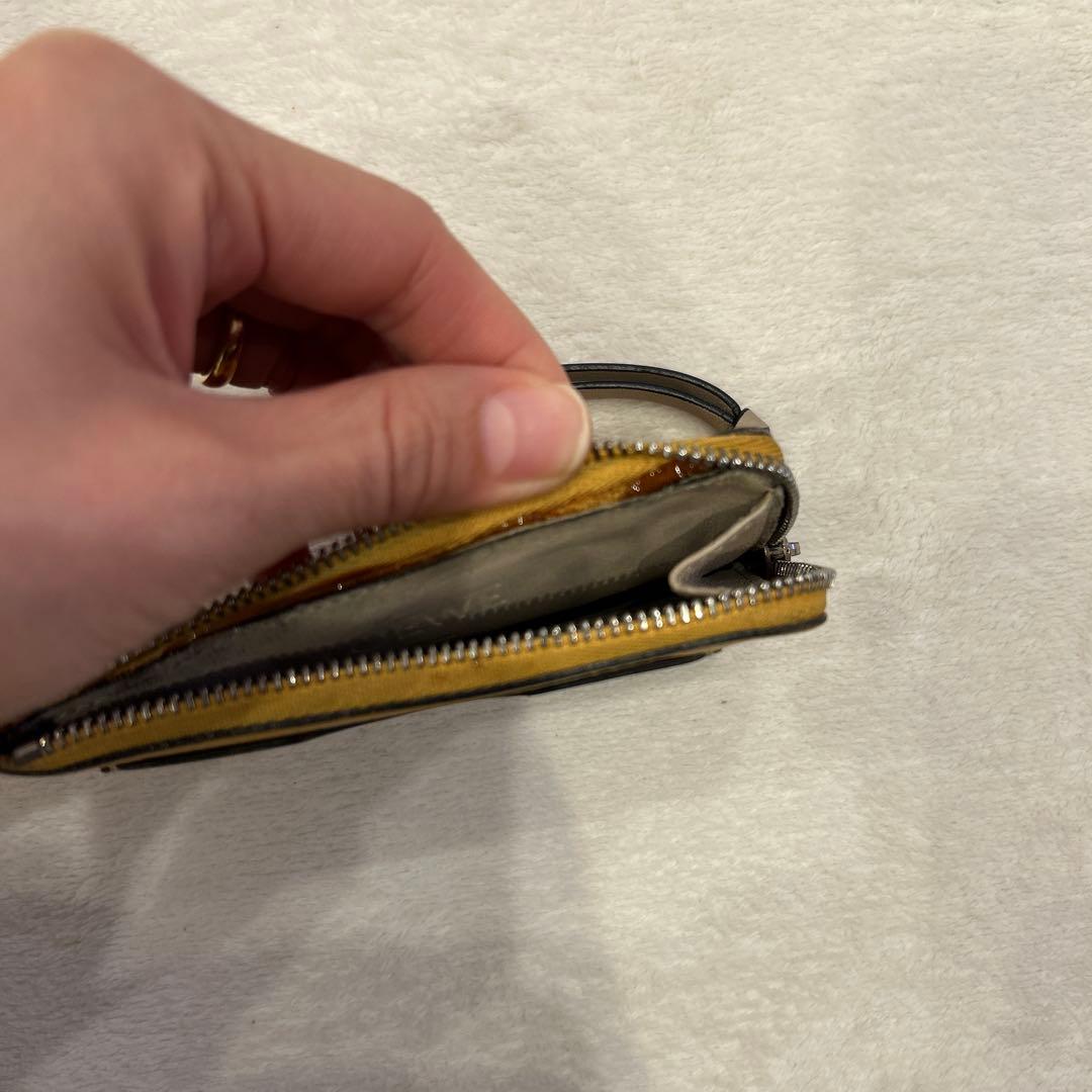LOEWE ロエベ　カードホルダー　ケース