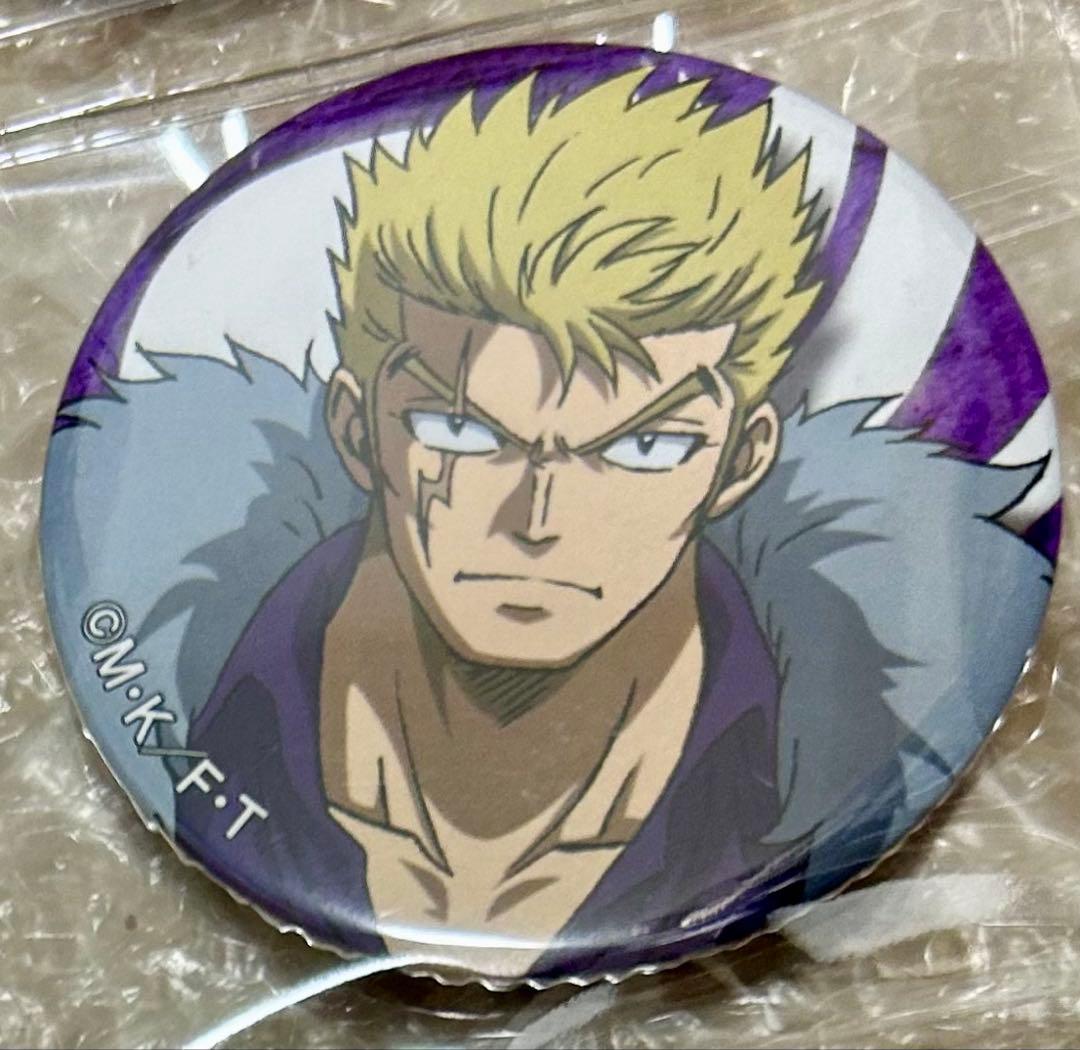 激レア　FAIRYTAIL フェアリーテイル　缶バッジ　2014年　まとめ売り