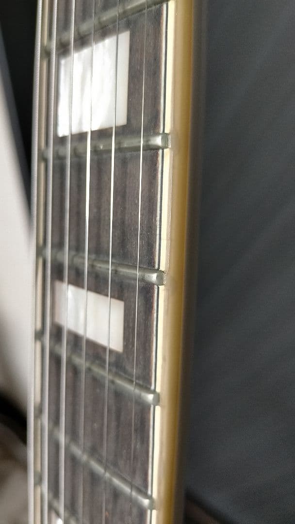 D'Angelico ディアンジェリコ Premier Mini ミニ セミアコ