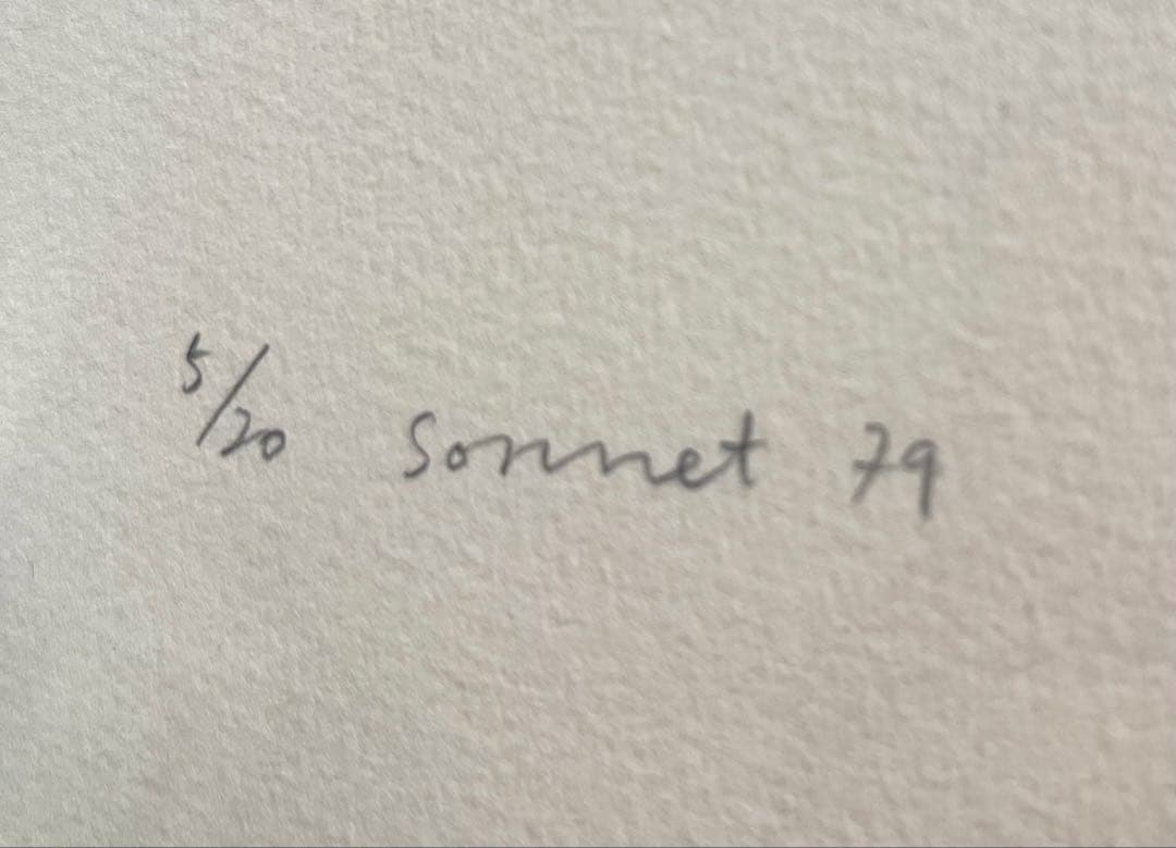 山本容子　版画　エッチング　手彩