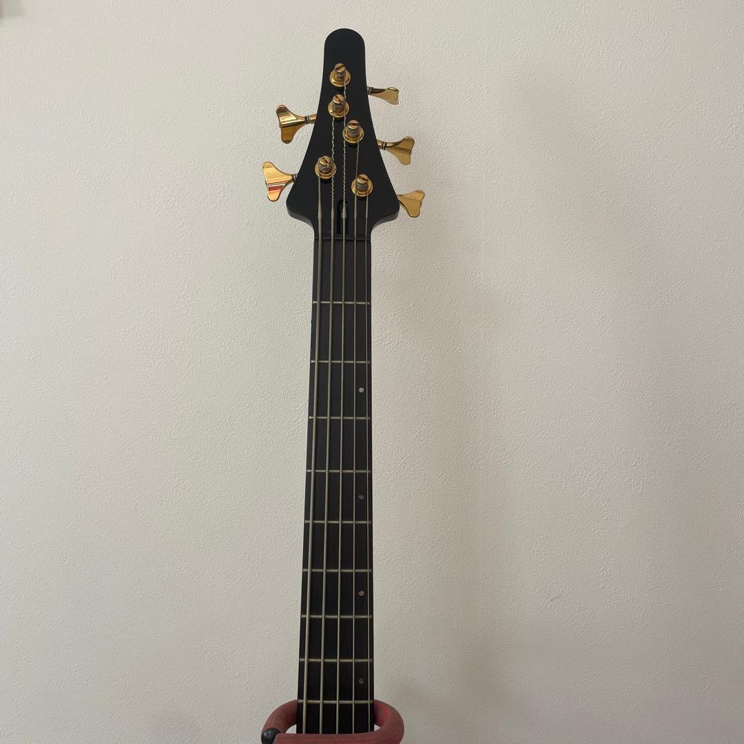◎希少品 TUNE SBB-365 セミアコ 5弦ベース