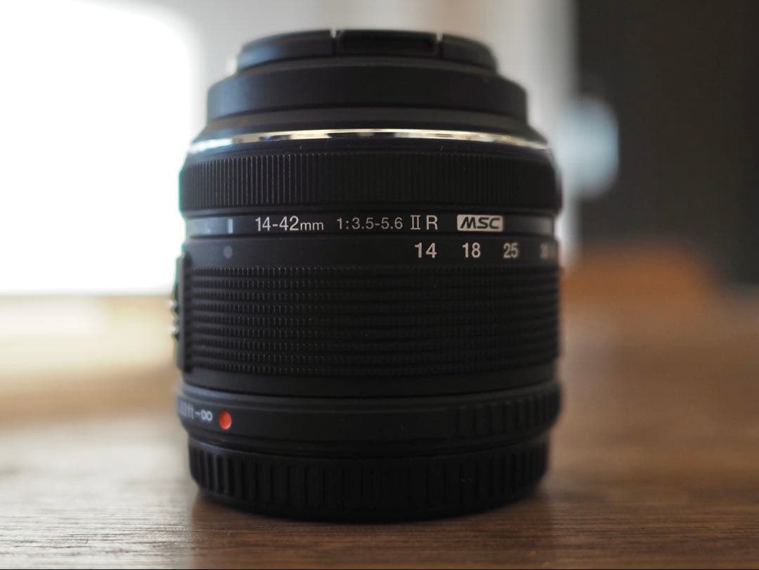 G VARIO 14-140mm & M.ZUIKO 14-42mm セット