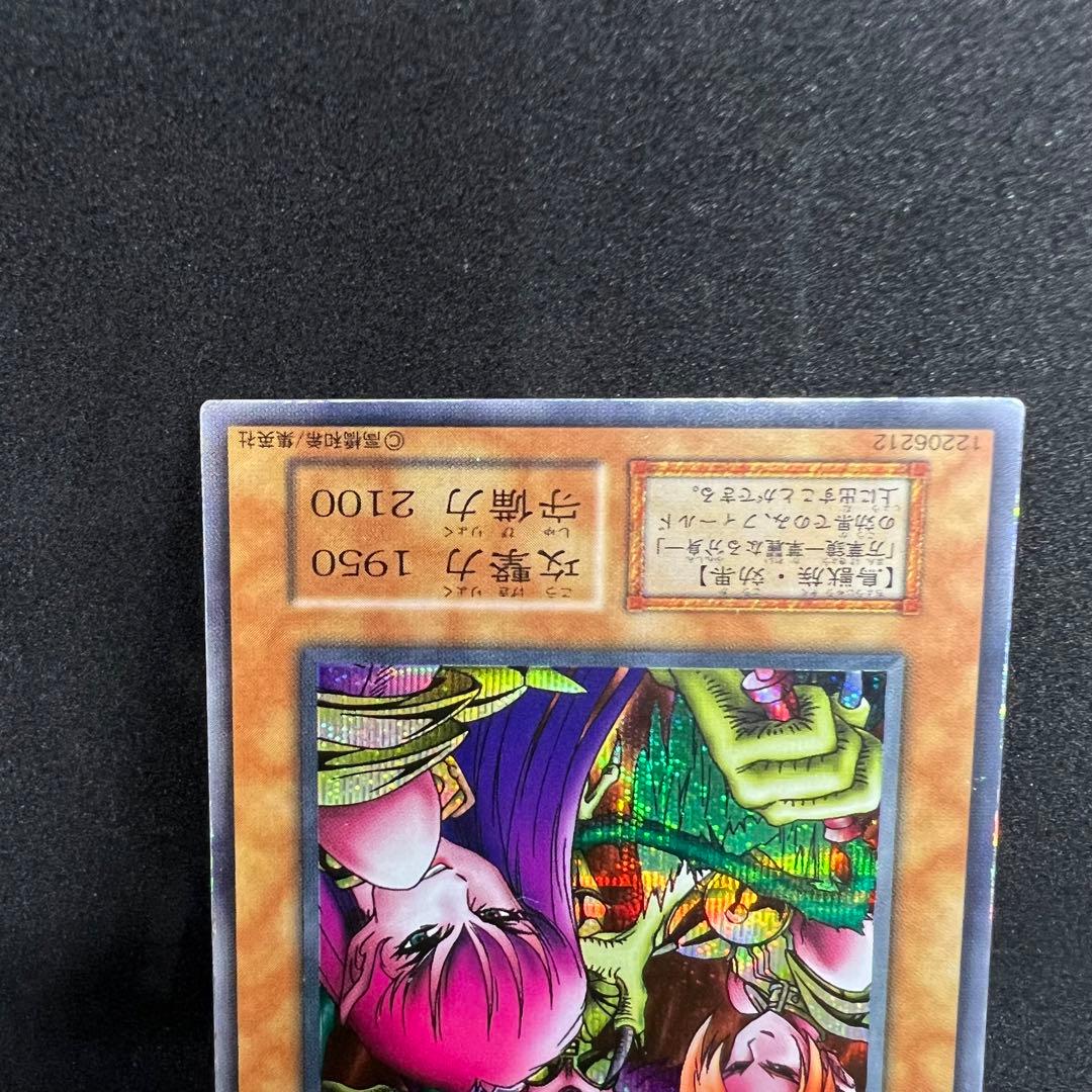 遊戯王　初期　ハーピィレディ三姉妹