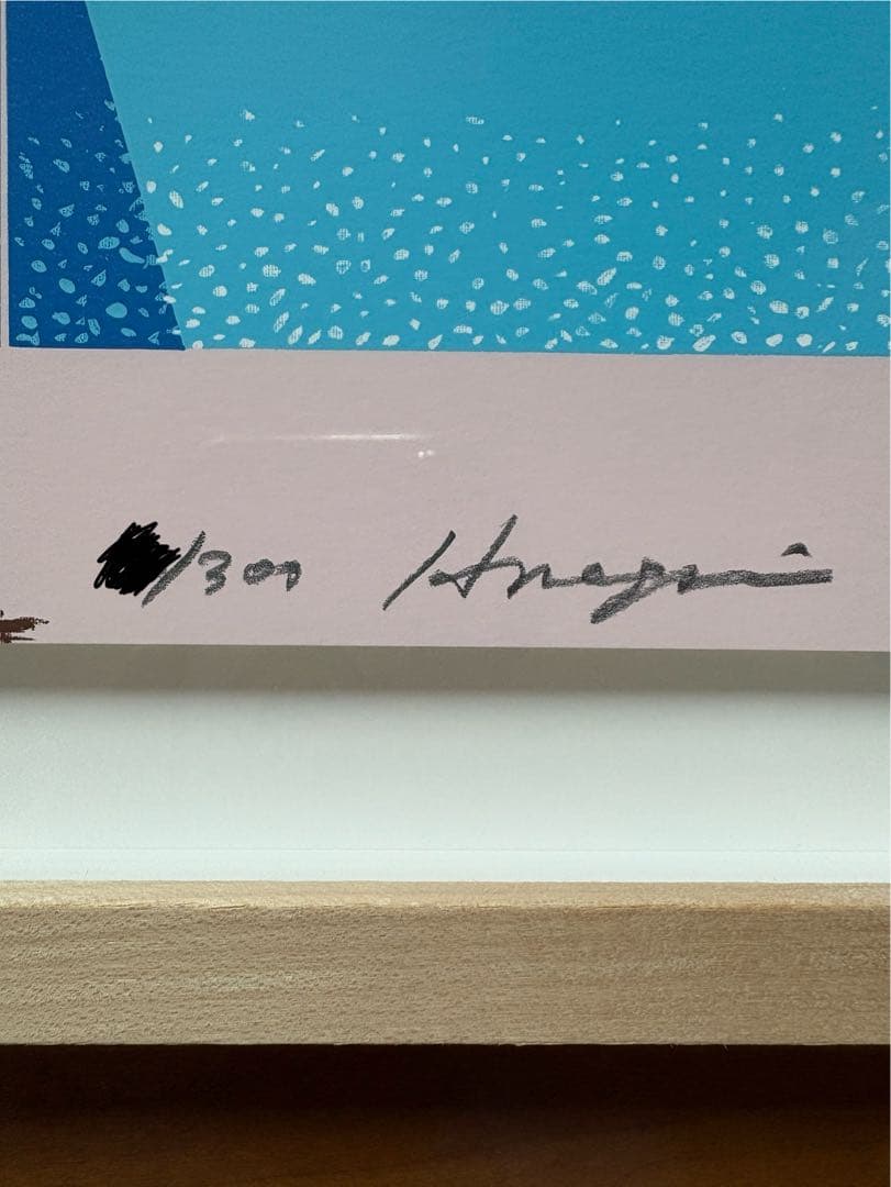 永井博 300枚限定 直筆サインナンバリング シルクスクリーン 額付 ナイアガラ