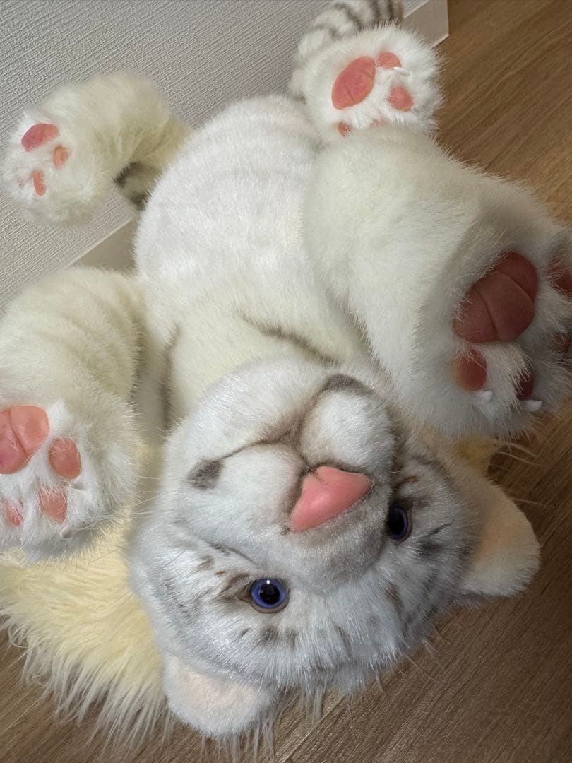 海外作家様作　アートドール　ホワイトタイガーの子供