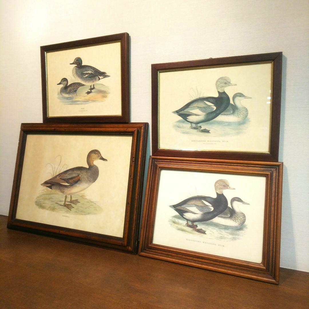 M*e様 Grafiche Tasgotti イタリアン プリント 水鳥 ４点セ