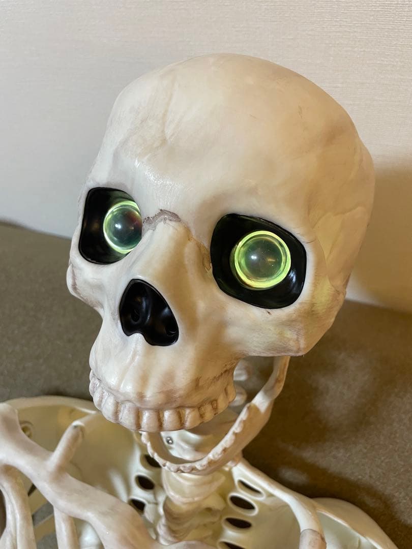 【デカすぎ！】ガイコツ　ハロウィン　人体模型　骨　ハロウィン　150cm