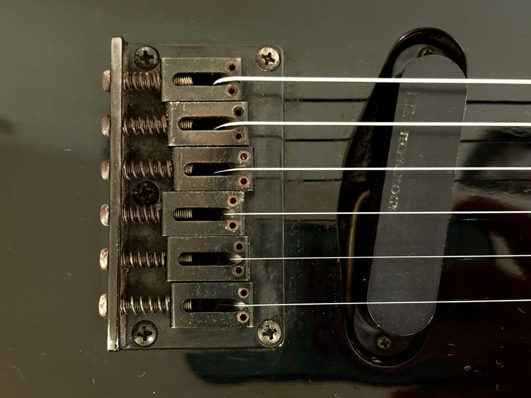 ギター Fernandes limited edition TEJ-70