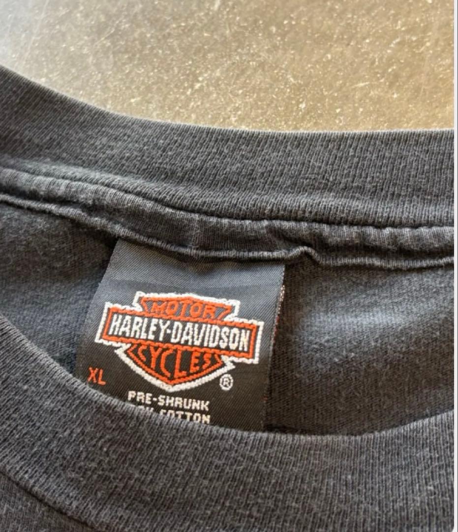 Harley Davidson Tシャツ XL サンダー　激レアハーレー