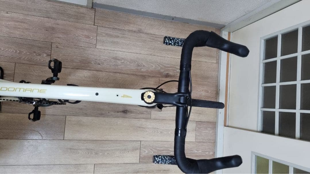 TREK DOMANE AL4 gen 3 2022年