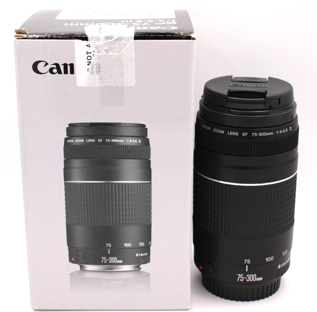 ☆美品☆ Canon EF75-300mm F4-5.6 III 望遠ズーム