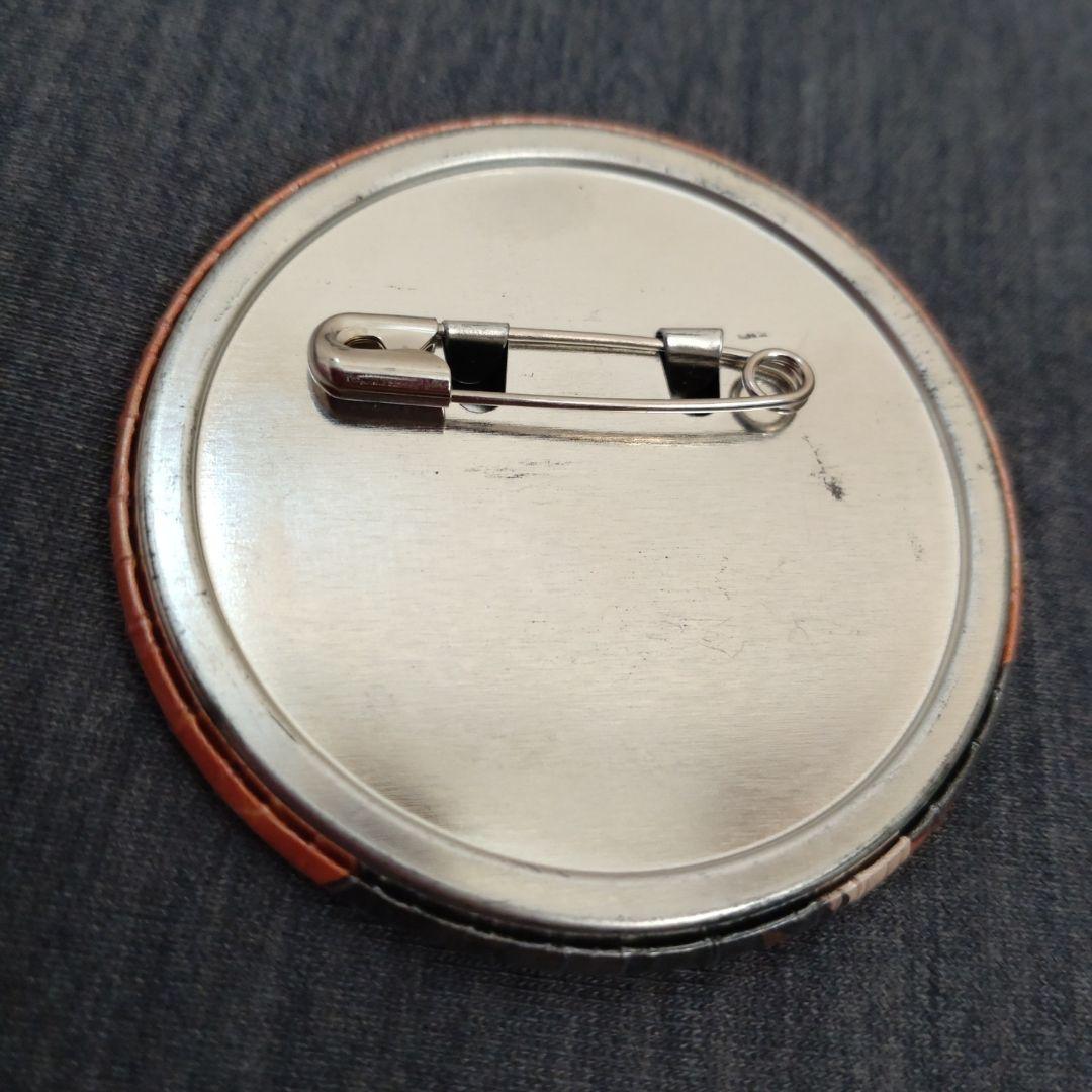 家庭教師ヒットマンREBORN!　アニメイト　ジャンプフェスタ　缶バッジ