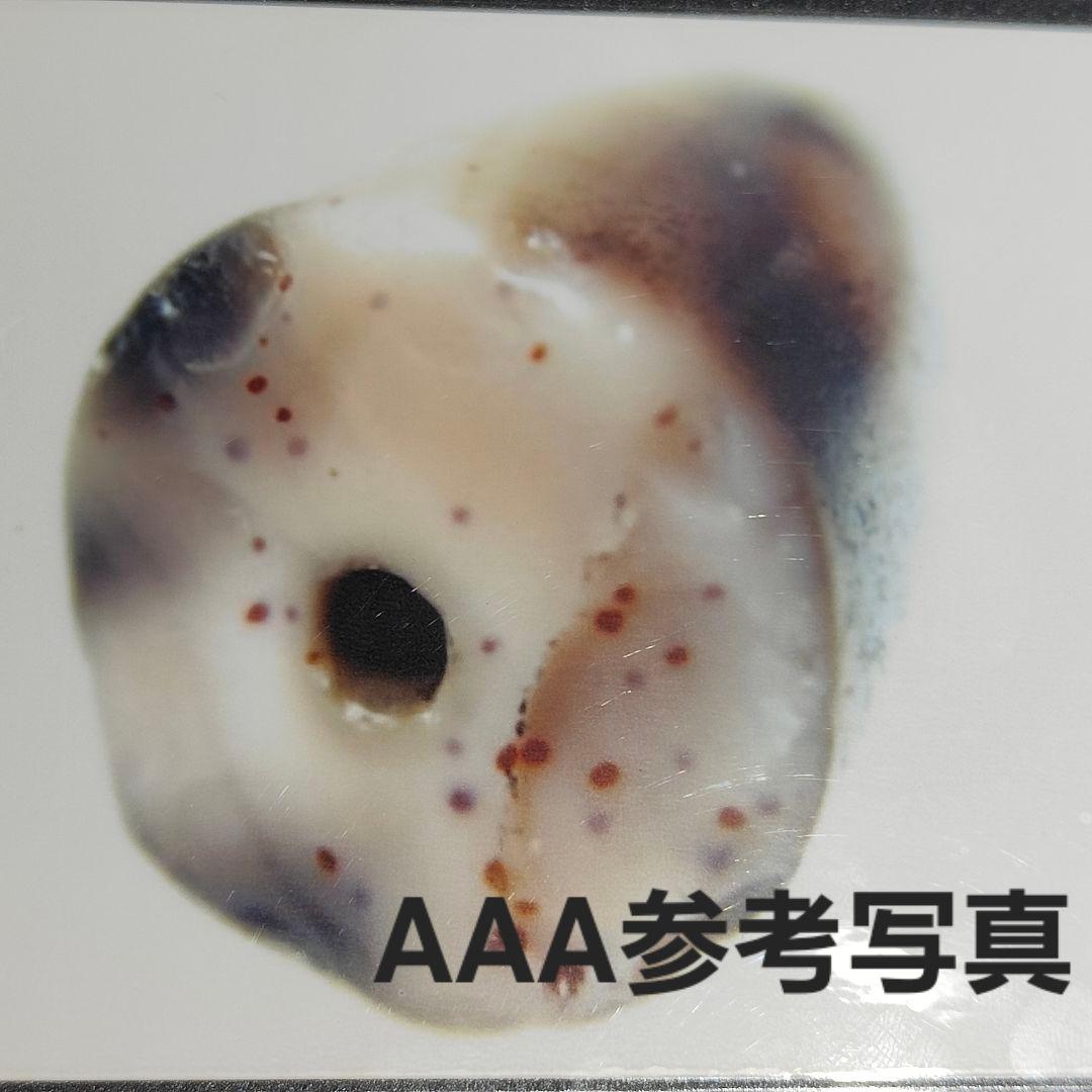 8 老礦天珠　二眼天珠　天珠　天然石　風水　御守　占い　ブレスレット　ネックレス