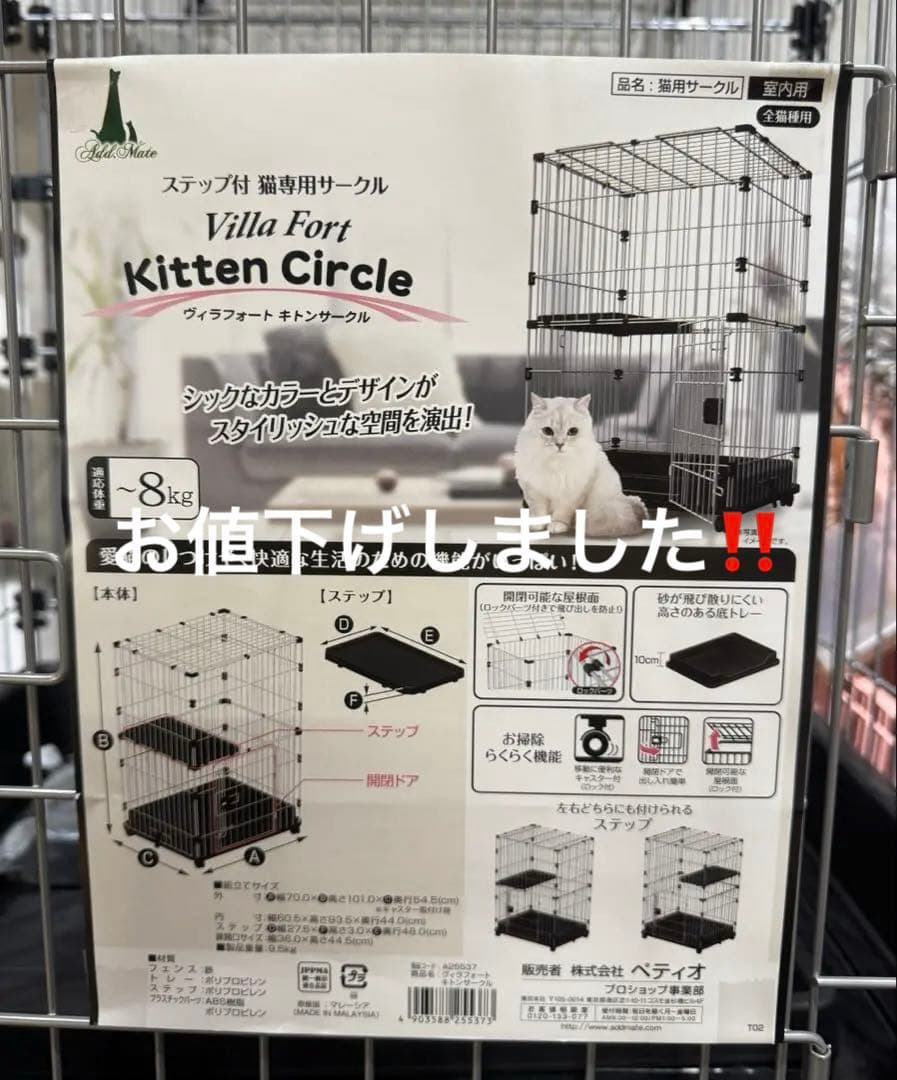 キトンサークル