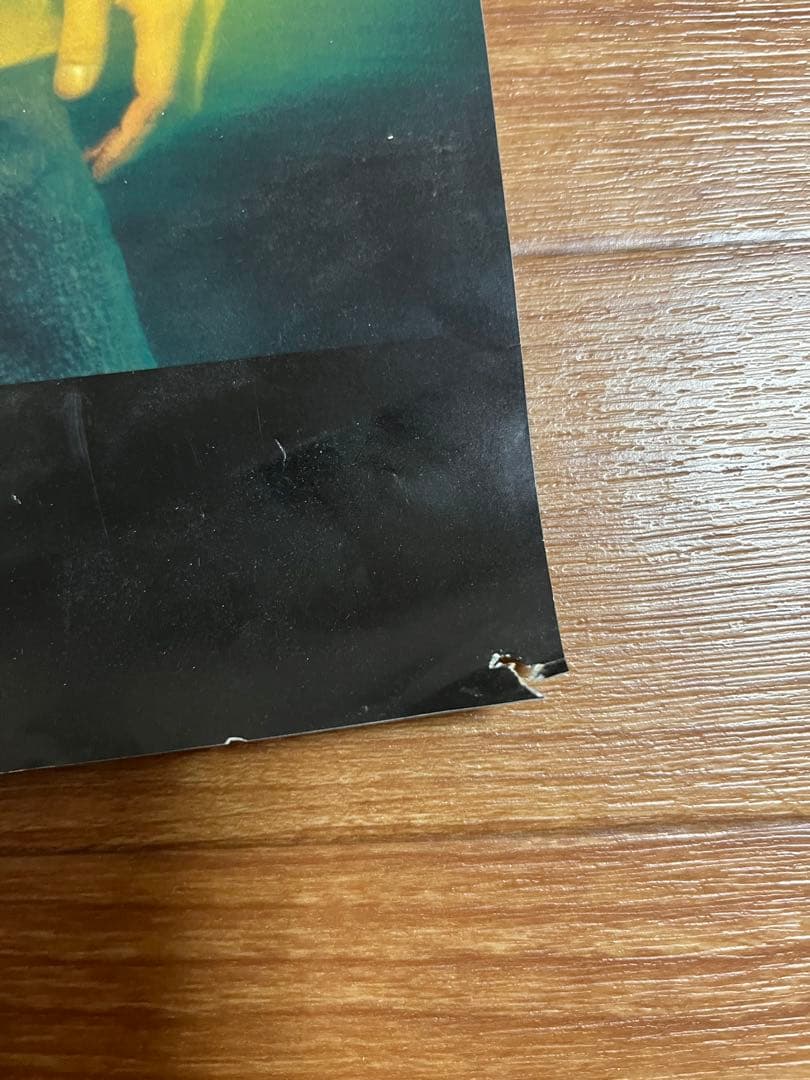 スピッツ ハヤブサ ポスター