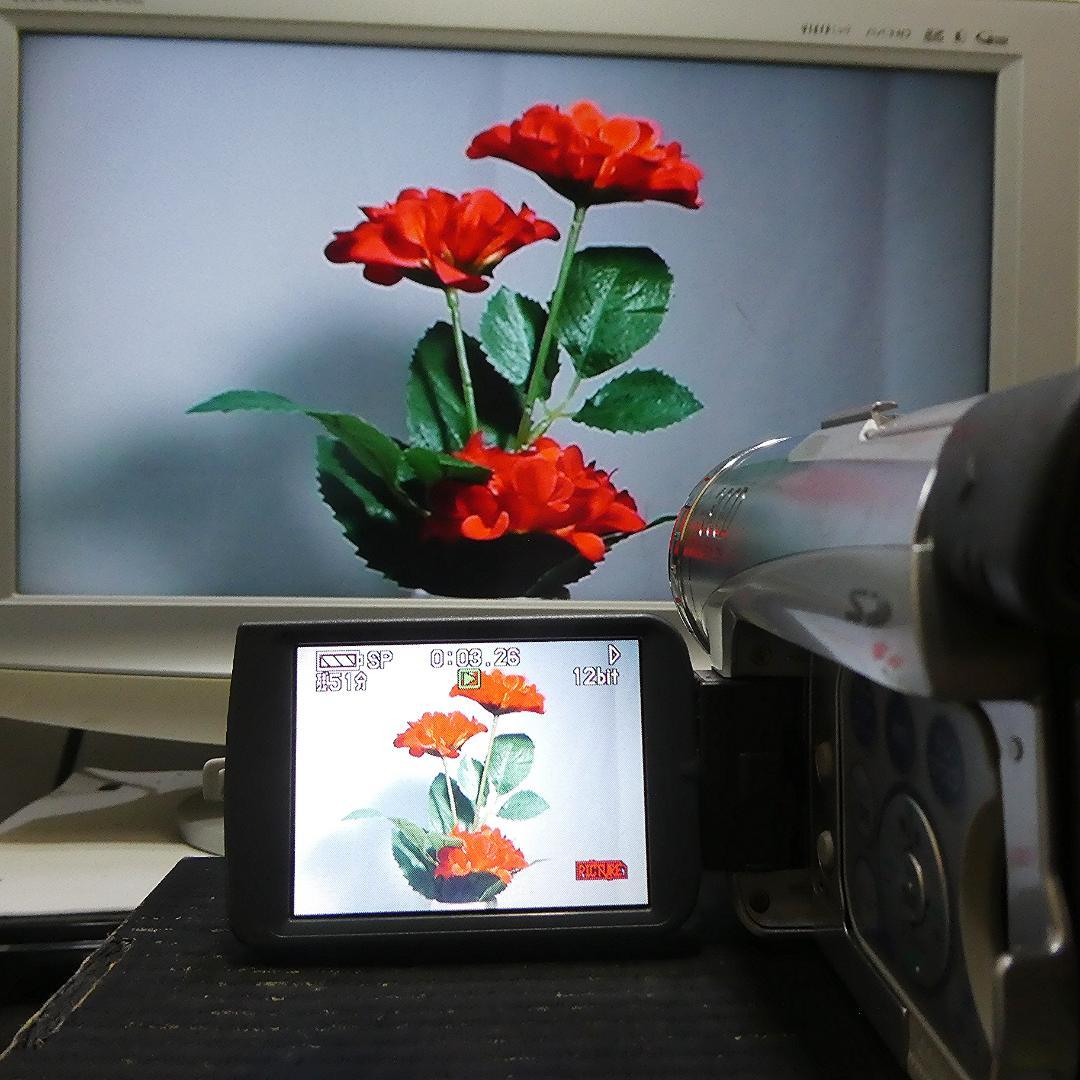 動作良好 パナソニックNV-GS200 MiniDVビデオカメラ　DVD化に最適