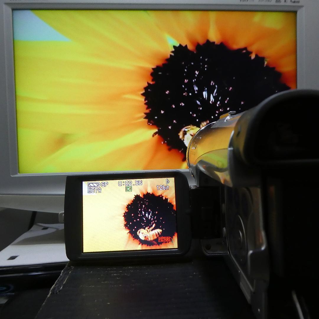 動作良好 パナソニックNV-GS200 MiniDVビデオカメラ　DVD化に最適