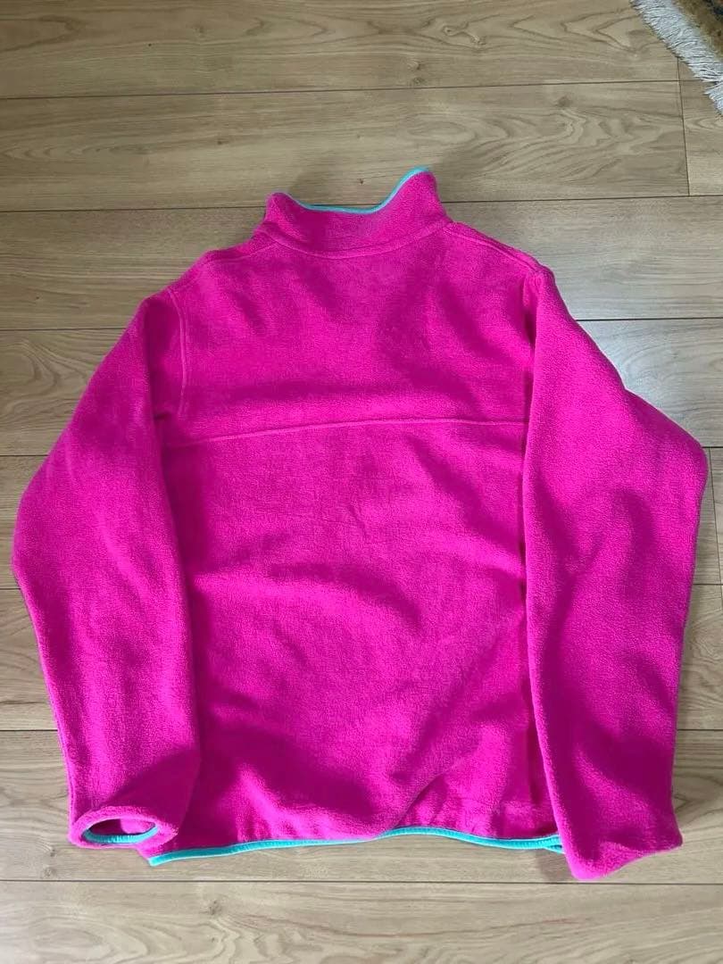 patagonia スナップＴ