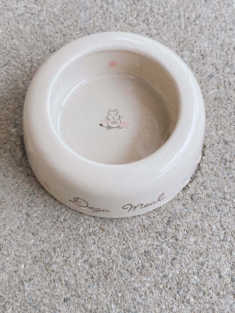 ハムスター　買い始めセット(埼玉県、直接渡しのみ)