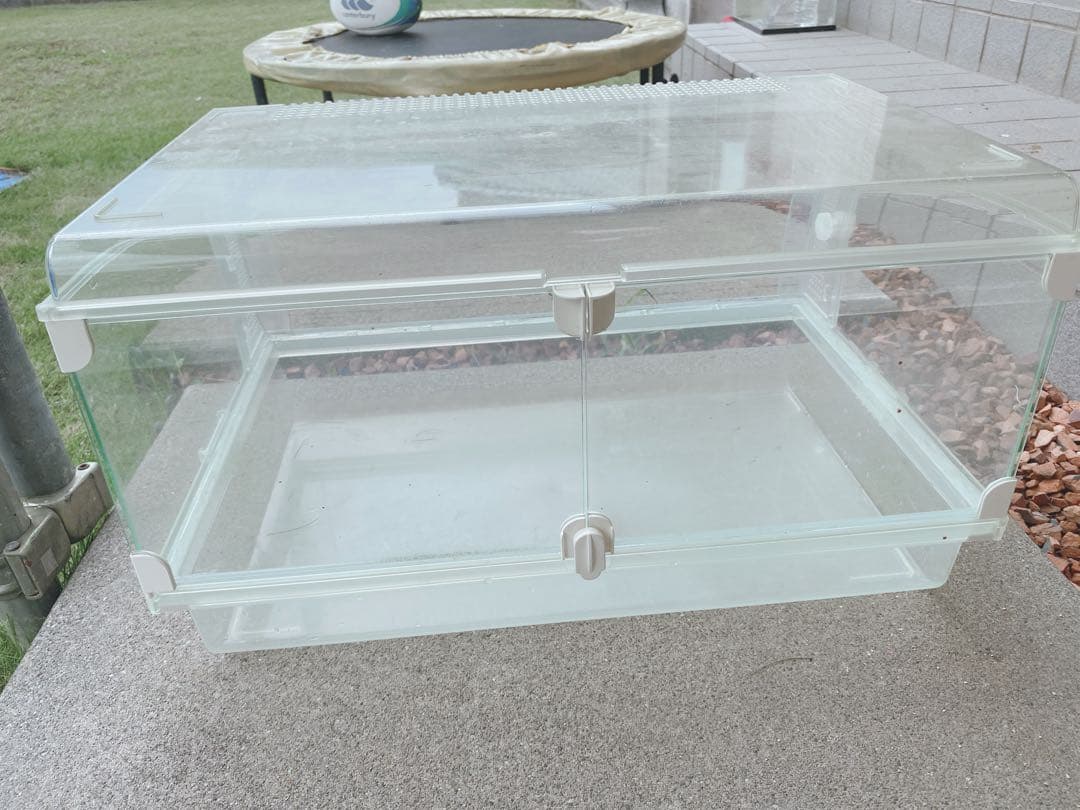 ハムスター　買い始めセット(埼玉県、直接渡しのみ)