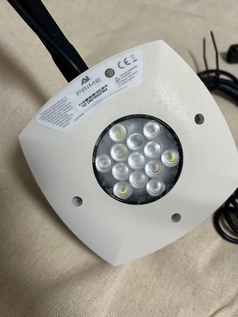 海水魚　サンゴ　LED 照明　プライム