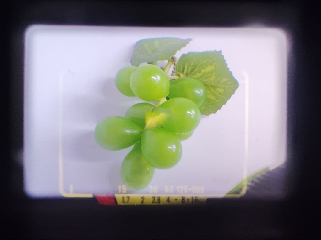 OLYMPUS 35DC（動作美品）