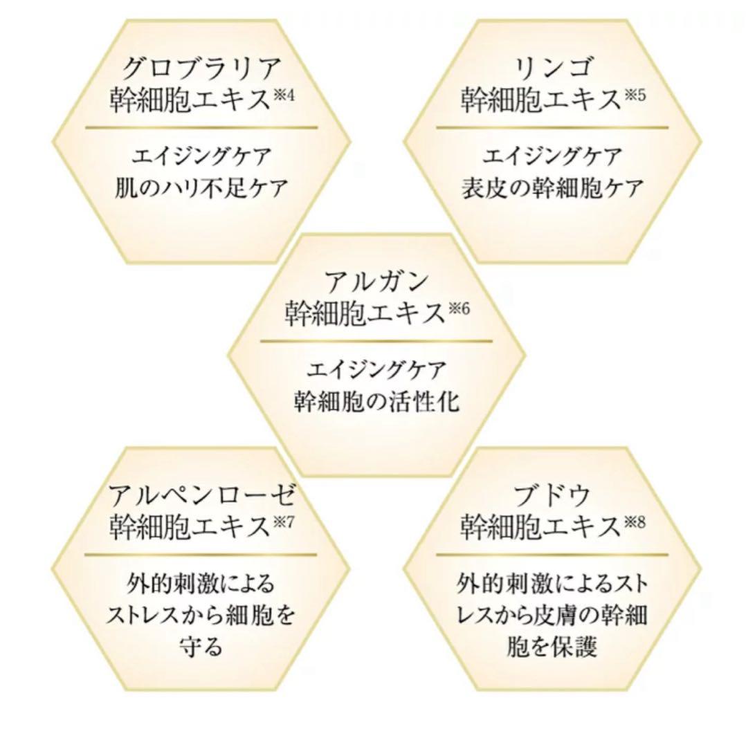 THE VEGAS II Miss Arrivo 美容液セット(未開封新品)