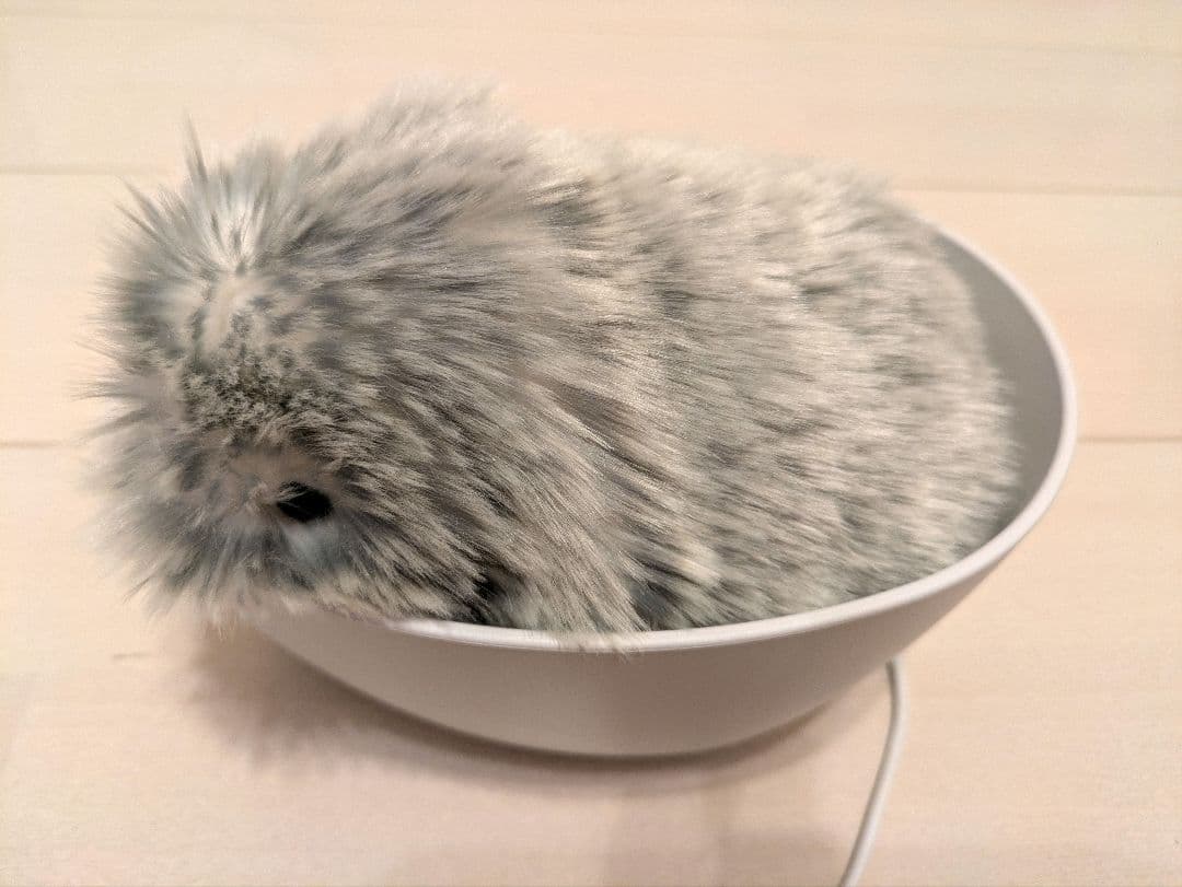 【1月末まで値下げ中】Moflin CASIO ペットロボット