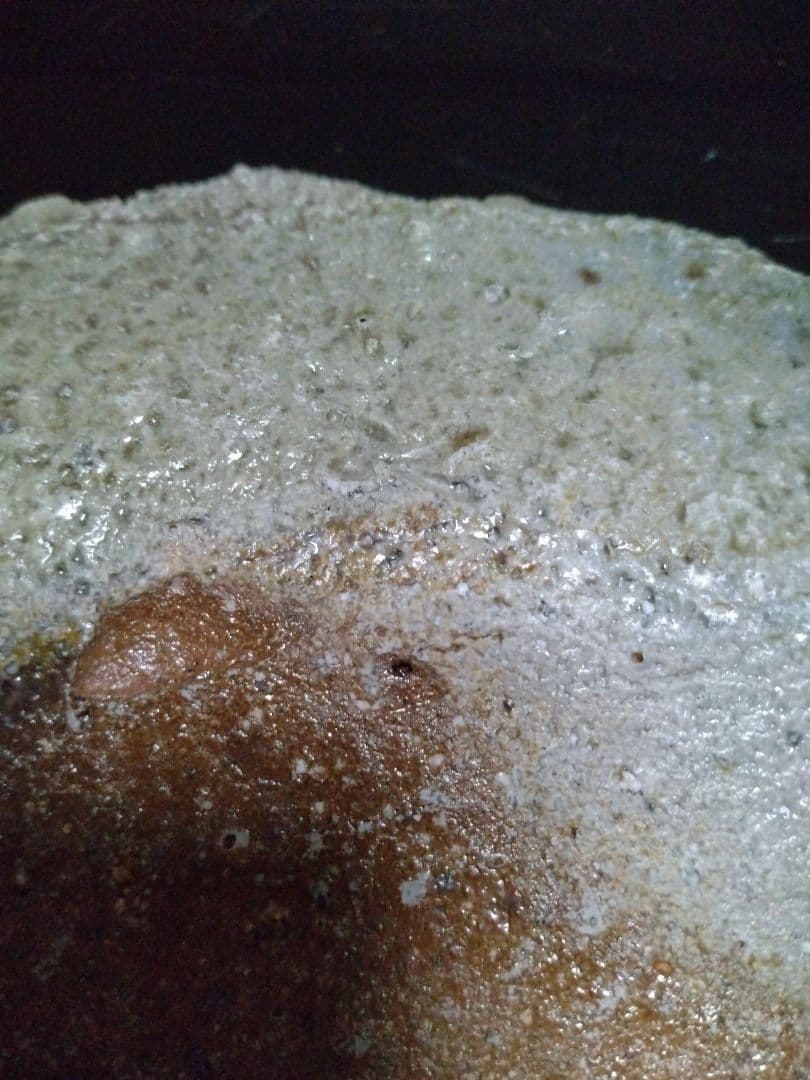 【備前焼 窯変長皿】伝統工芸士 森本 桂／送料込み！