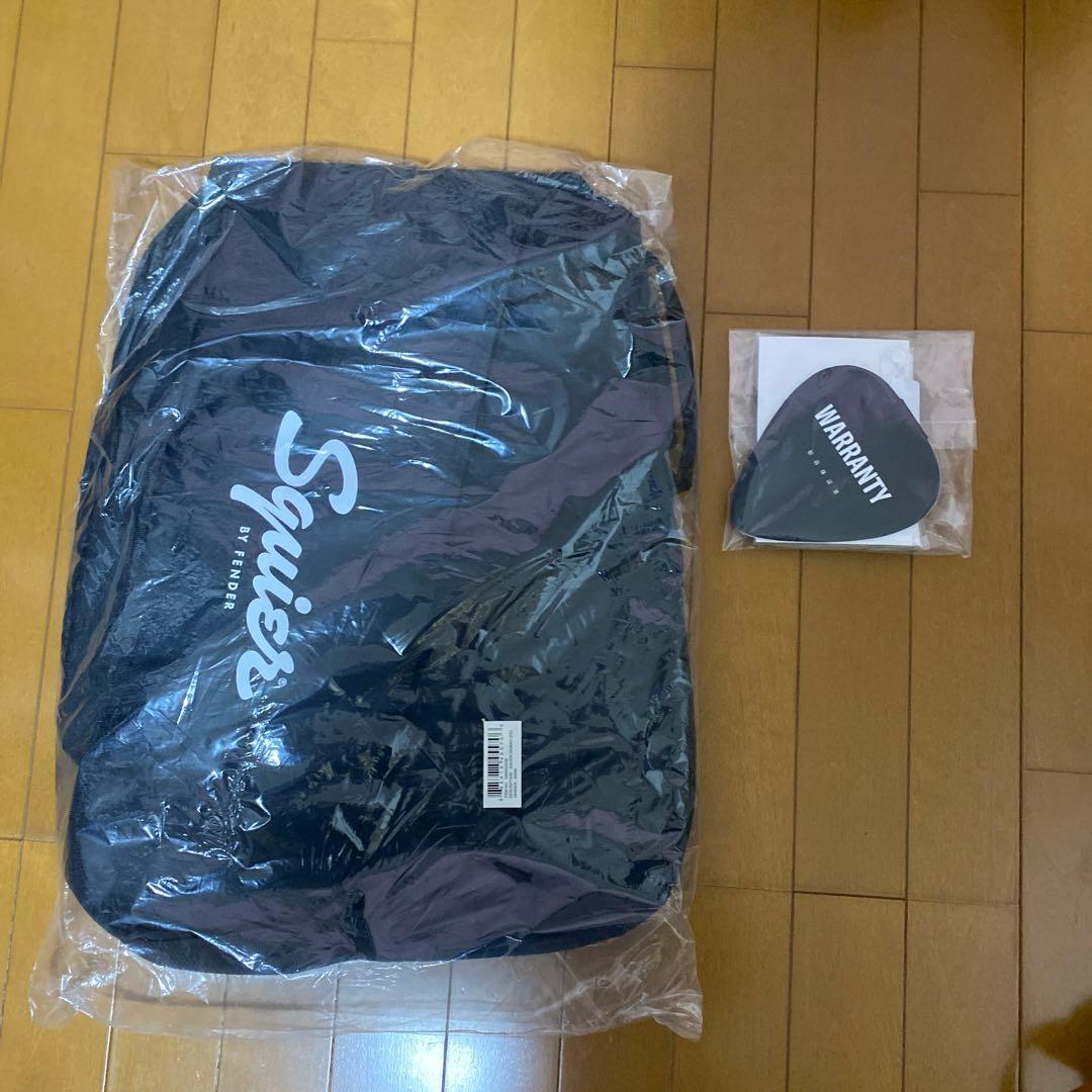 Squier Stratocaster Affinity Series カスタム