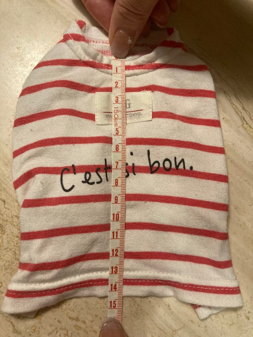 G-G ストライプ犬服 C'est si bon.