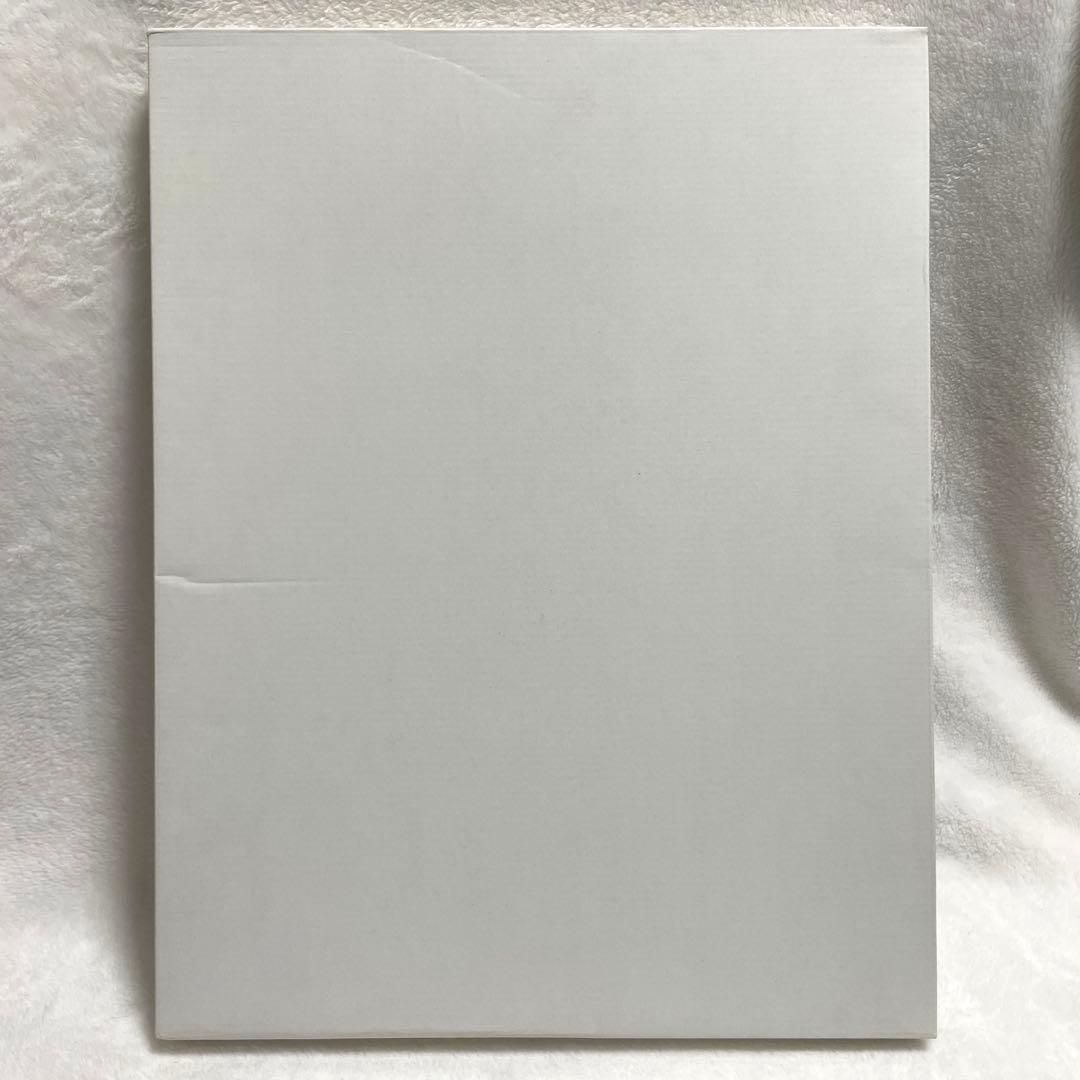 ドラゴンボール　完全版　複製原画　22巻