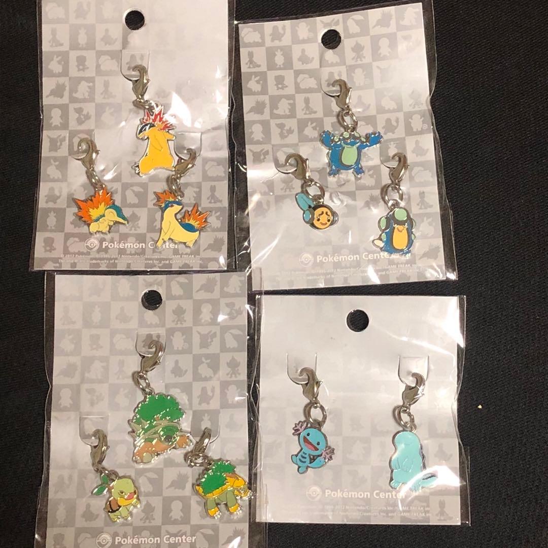 ポケモン 全国ずかんメタルチャーム　まとめ売り