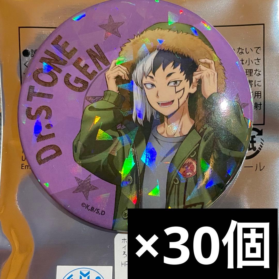 dr.stone スキマストア フライトジャケット缶バッジ 30個 あさぎりゲン