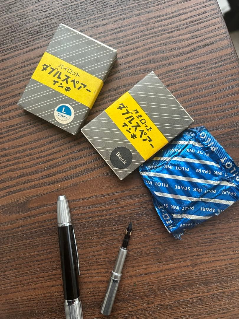 パイロット キャップレス 万年筆 蝕刻 食刻