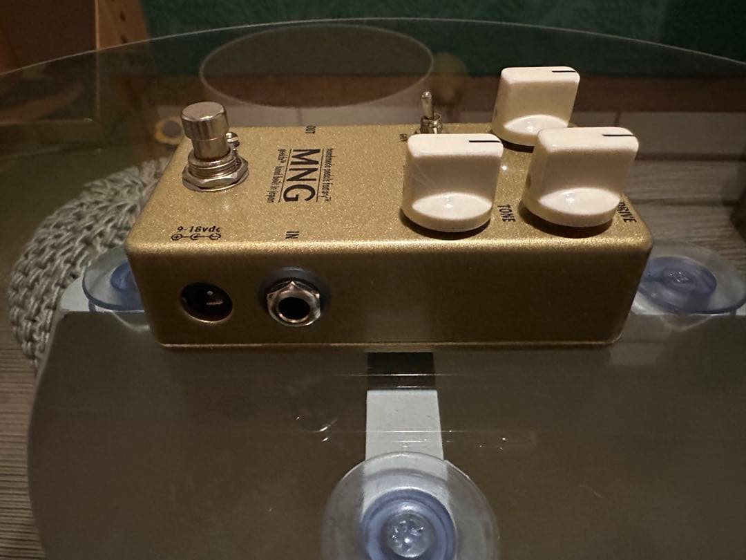 HMPF Morning Gloryクローン