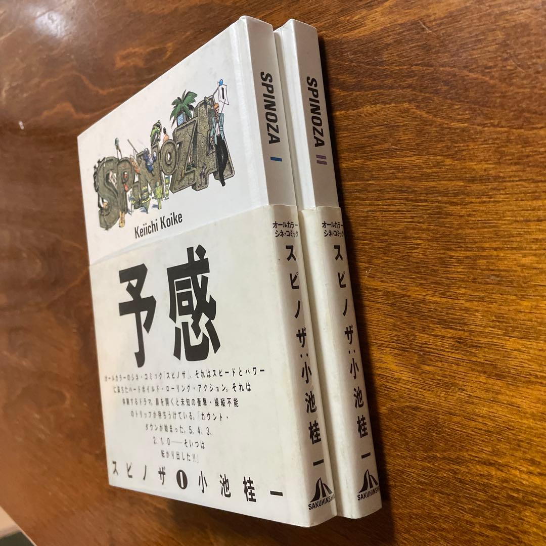 小池桂一　スピノザ　全2冊