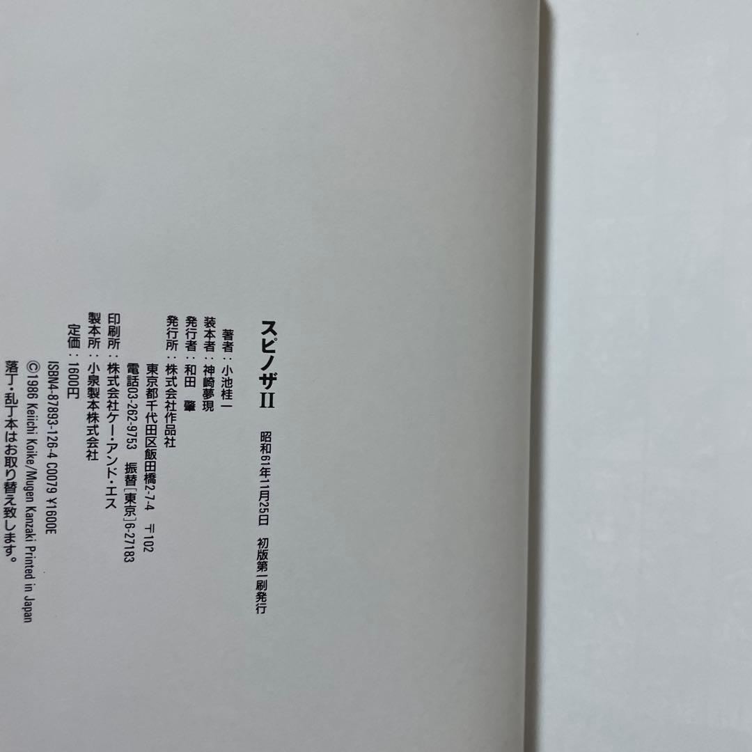 小池桂一　スピノザ　全2冊