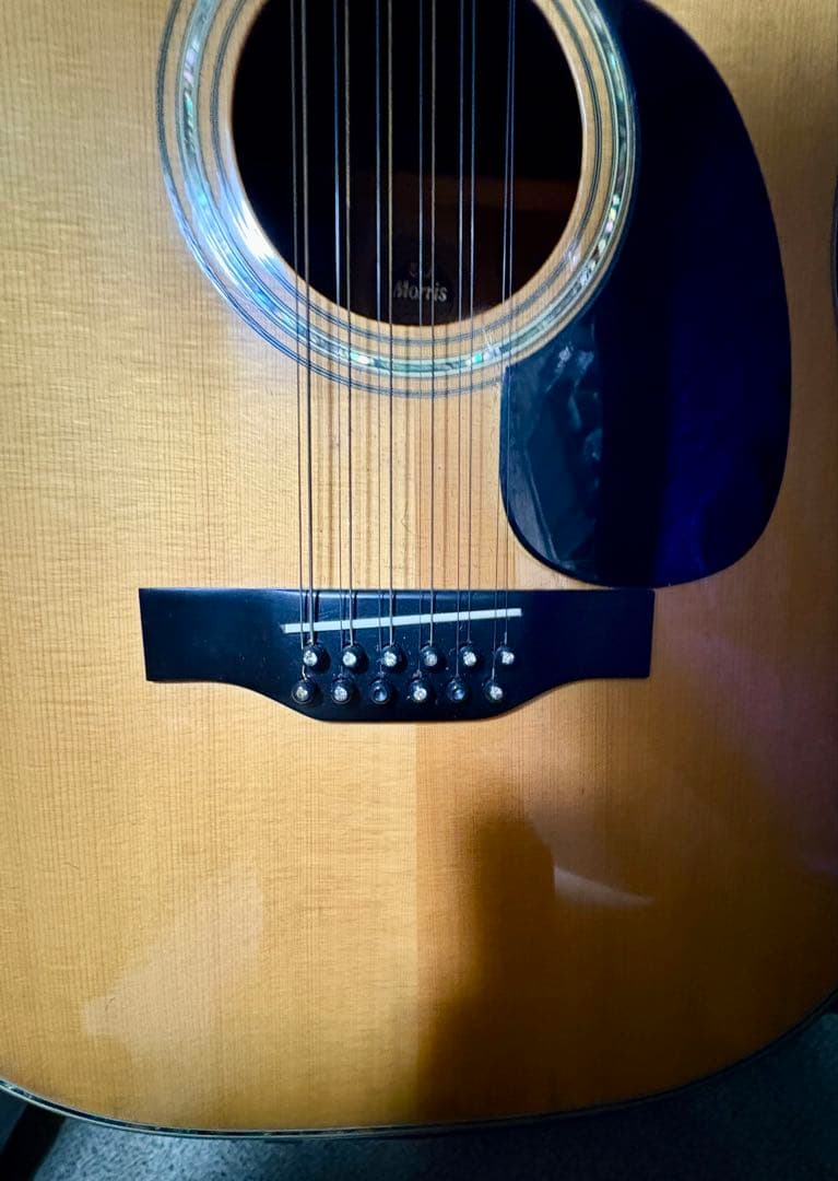 MORRIS B-100 12弦アコースティックギター ハードケース付き