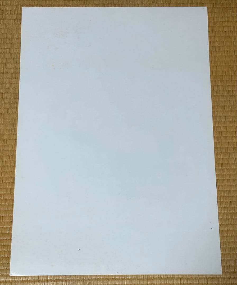 怪盗 ワリオ ザ セブン NDS B2サイズ 告知ポスター