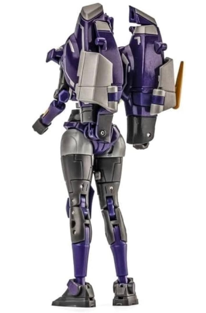 非正規トランスフォーマー/ソラスプライムっぽい人